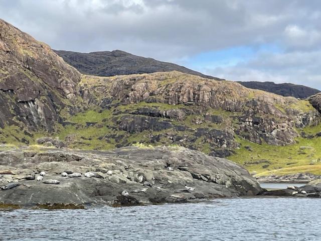 Waterfall View Milovaig Exterior photo